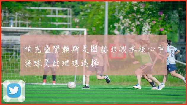 帕克盛赞赖斯是图赫尔战术核心中场球员的理想选择