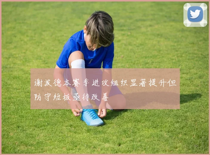 谢泼德本赛季进攻组织显著提升但防守短板亟待改善